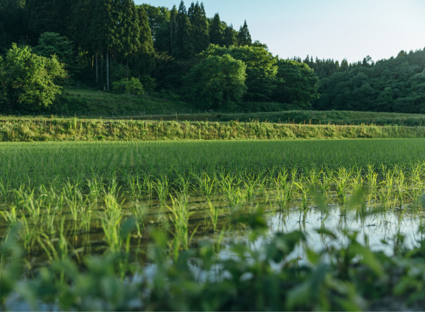 豊かな自然環境