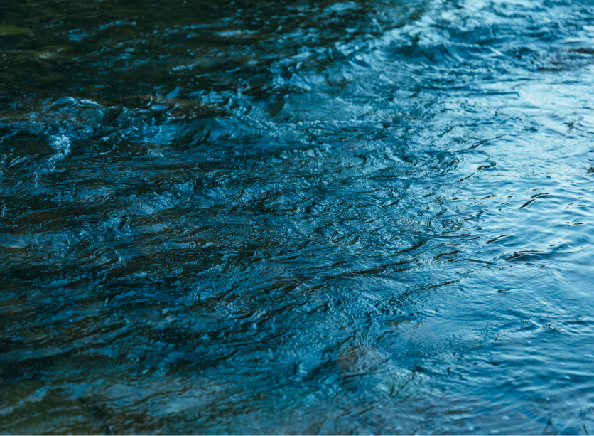 豊かな自然環境