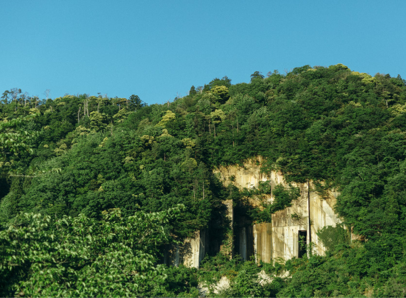 豊かな自然環境