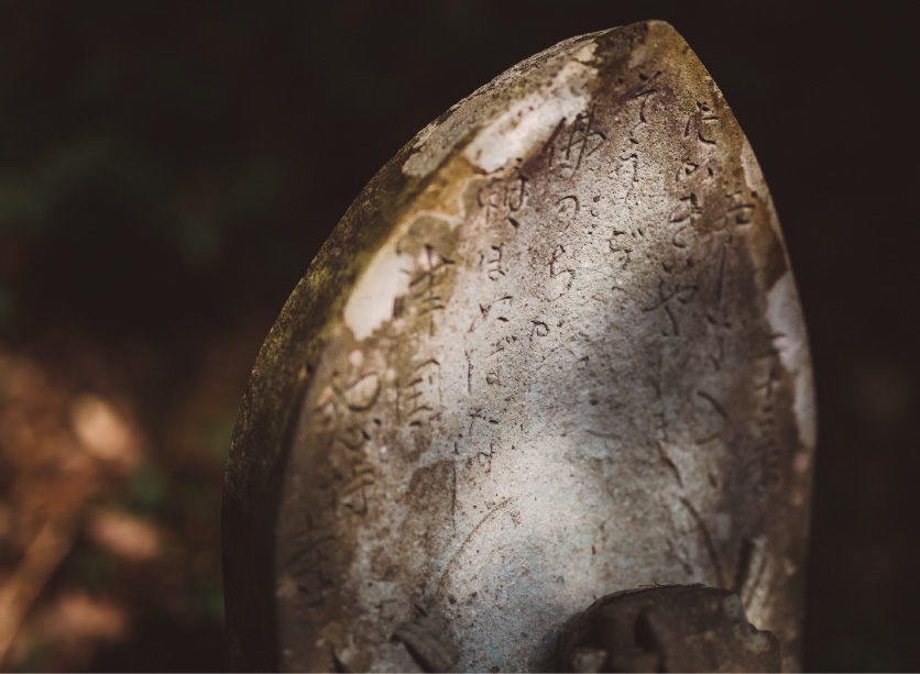 豊かな自然環境