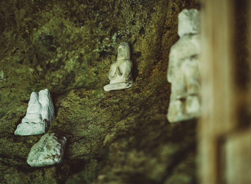 豊かな自然環境