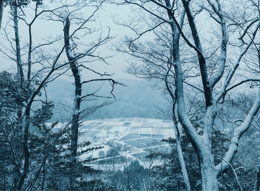 豊かな自然環境